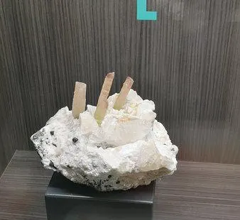 Mineralogical Museum Luigi Celleri