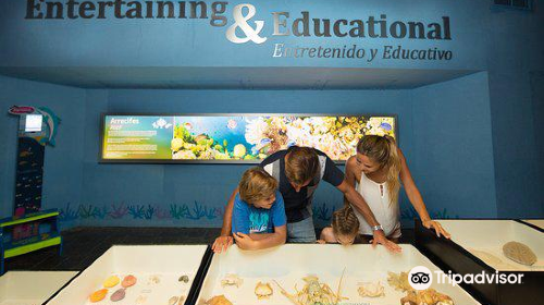 Interactive Aquarium Cancún