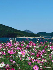 Flower Park Urashima