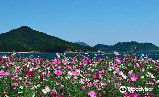 Flower Park Urashima