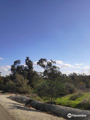 Ha-Rishonim ba-Negev Site