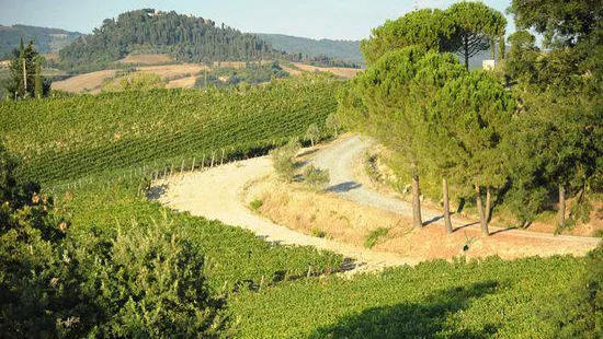 Le Colline di Sopra