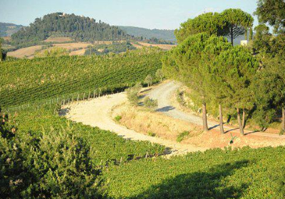 Le Colline di Sopra