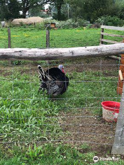 La Ferme Agricool