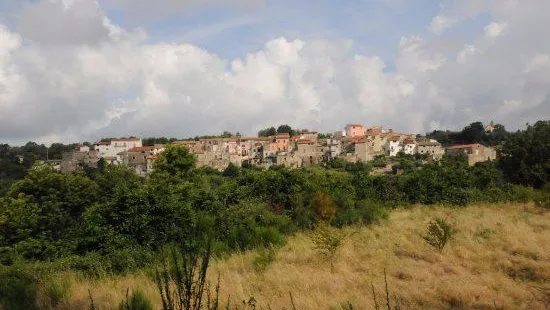 Volpara Azienda Agricola