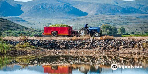 Van Loveren Family Cellar