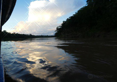 Jungle Nature Hikes