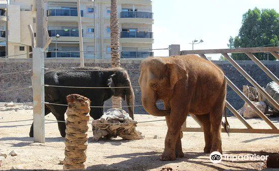 3_Hai Park Kiryat Motzkin