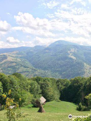 Carpathian Biosphere Reserve