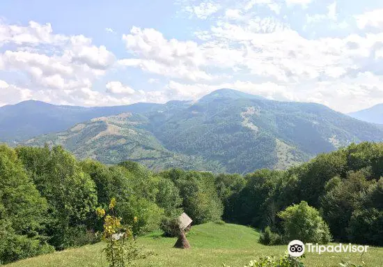 Carpathian Biosphere Reserve