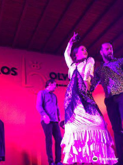 Flamenco los Olvidados
