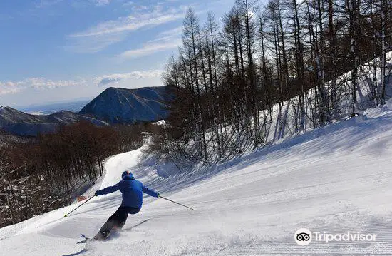 Spring Valley Izumi Kogen Ski Resort