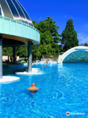 Mineral Bath Swimming Pool Park