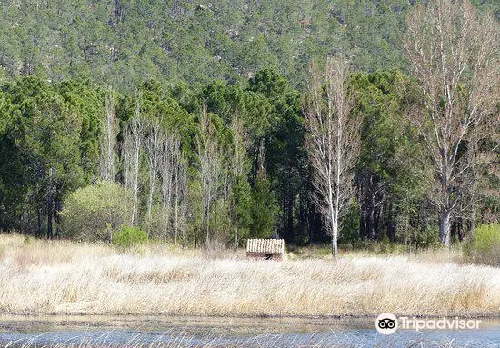 Laguna de Talayuelas