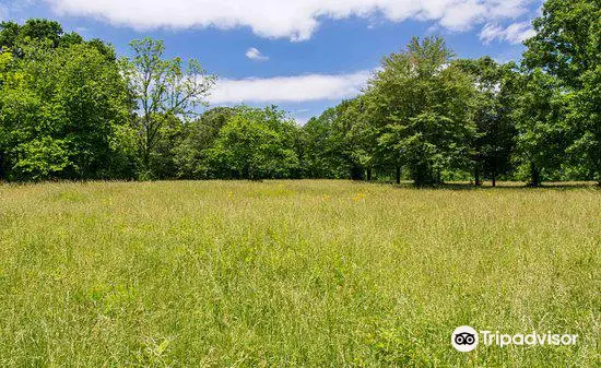 Cowpens National Battlefield | Visitor Center