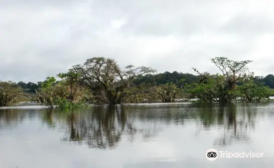 Cuyabeno Lodge