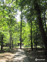 Zhovtneviy Park