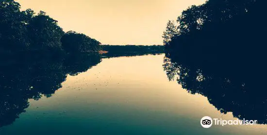 Lake McMurtry Natural Resource and Recreation Area