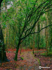 Galway's Land National Park