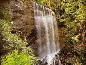 Mt Carmel Falls