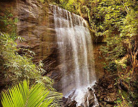 Mt Carmel Falls