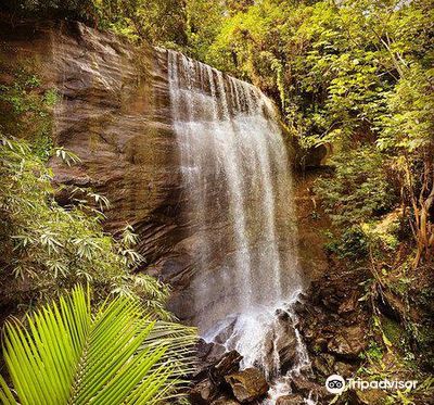 Mt Carmel Falls trailhead