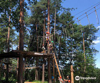 Kletterpark Waldbad Anif