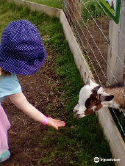 Wynford Farm Playbarn