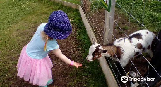 Wynford Farm Playbarn