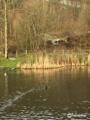Cwmtillery Lakes