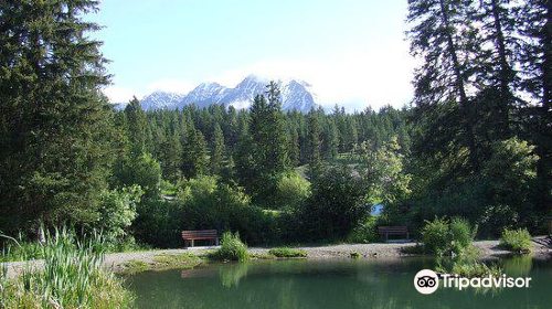 Kootenay Trout Hatchery & Visitor Centre