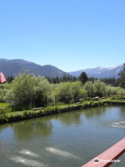 Tahoe Trout Farm