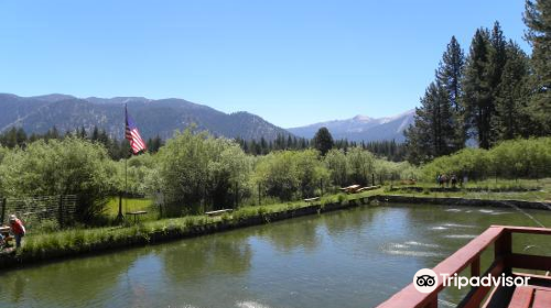 Tahoe Trout Farm