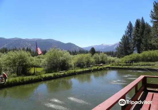 Tahoe Trout Farm