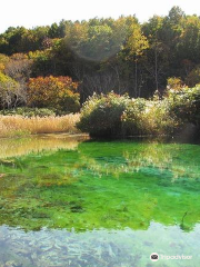 Tashirotai Wetland