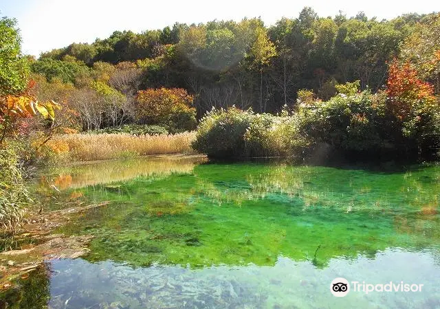 Tashirotai Wetland