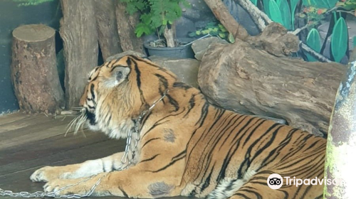 北欖府鱷魚湖動物園