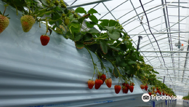 Karuizawa Garden Farm