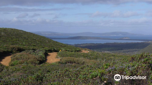 Sharp Point Lookout