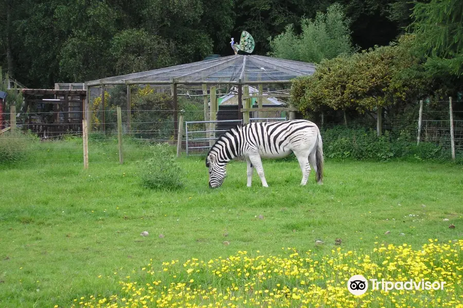 Black Isle Holiday Park