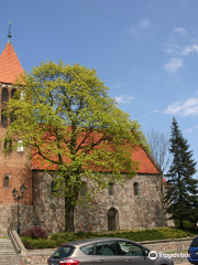 Church of the Blessed Virgin Mary in Inowroclaw