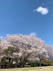 Yamaga City Ipponmatsu Park