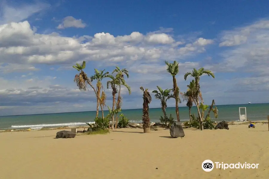 Dog Beach Catania