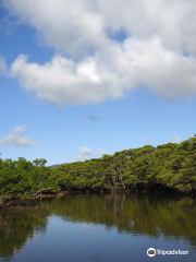 Nakama-river Protected Region