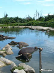 亜熱帯植物楽園 由布島