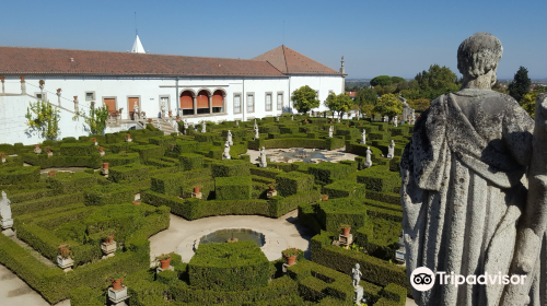 Castle of Castelo Branco