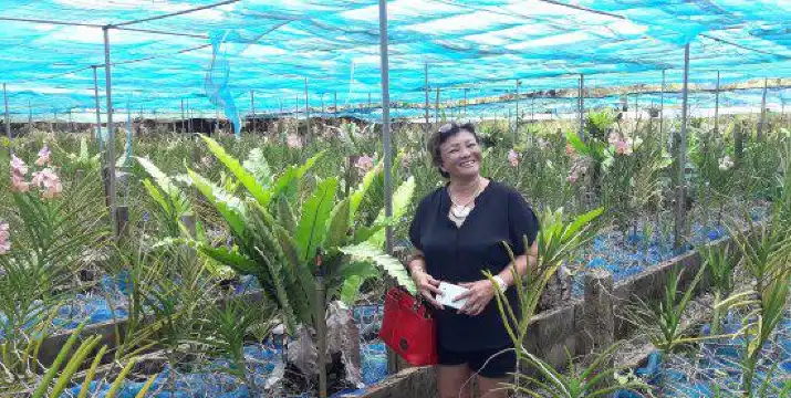 鄰近Udon Sunshine Orchid的酒店