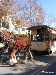 Solvang Trolley & Carriage Tours