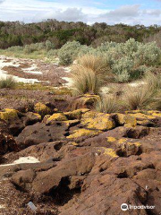 French Island National Park