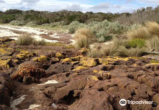 French Island National Park